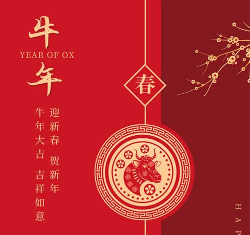 ¡Feliz Año Nuevo chino!