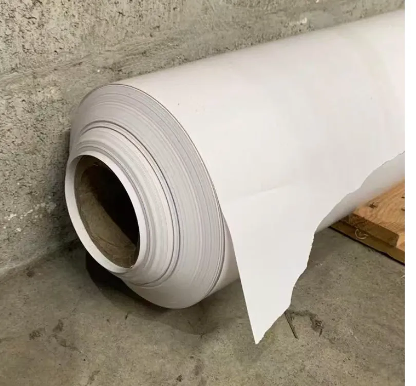 De problemas de rebobinado a alta eficiencia: Raloyal ofrece una solución completa para un cliente papelero argentino
